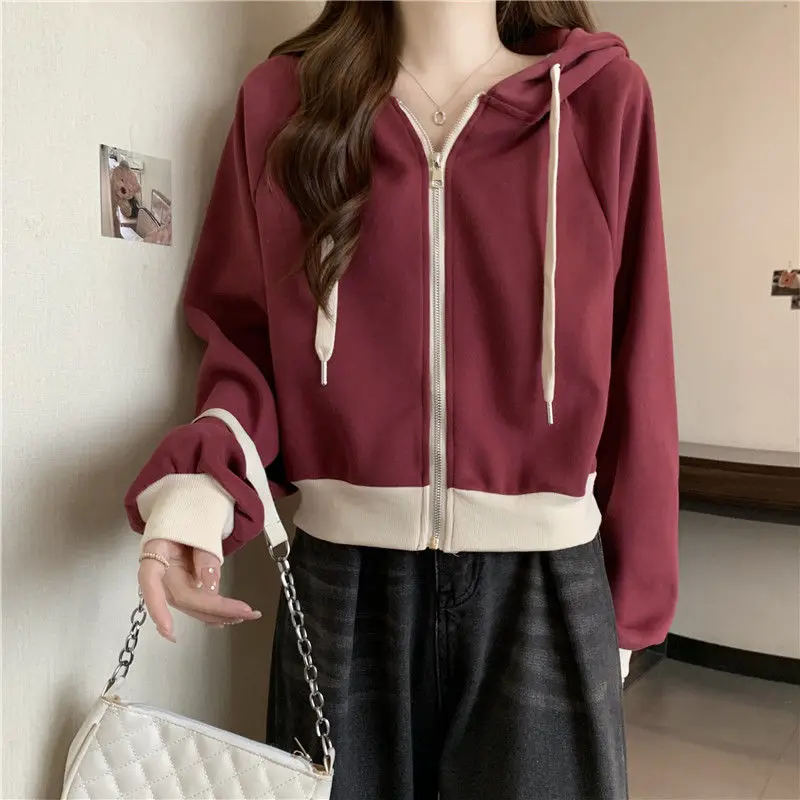Femme Spring Autumn Korean Fas - Summer Clothing Drawing ulasan dan harga